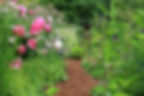 English Garden