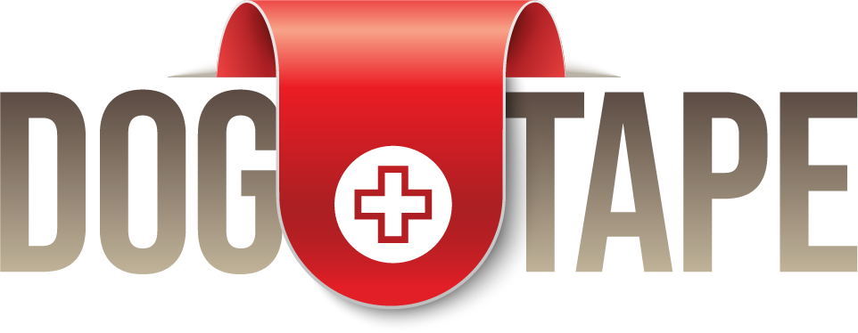 DT_Logo Final 4c.png