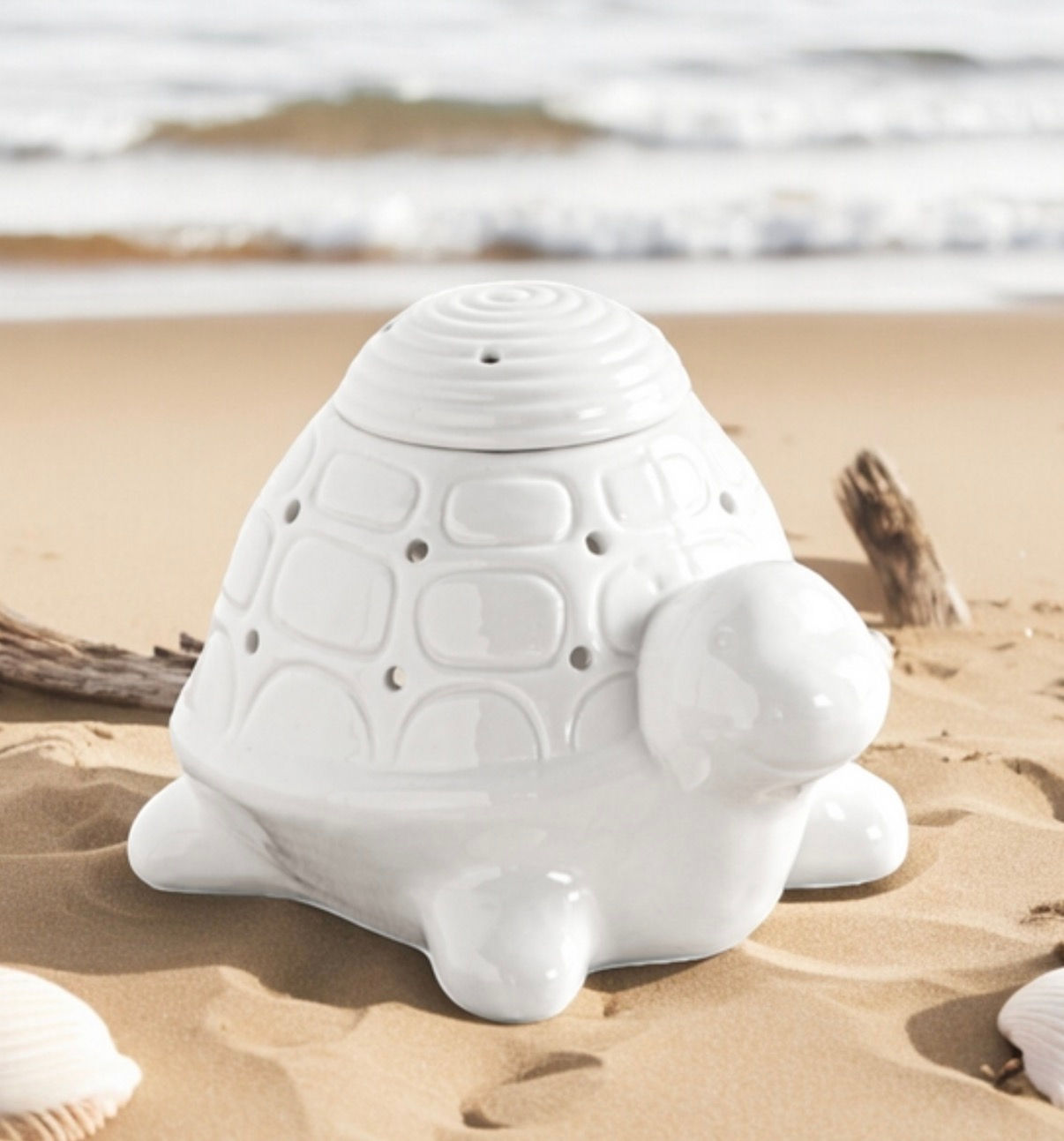 Brûle Parfum Tortue