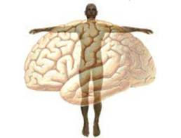 images and body one.jpeg