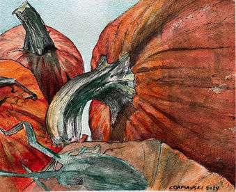 orange pumpkins watercolor and ink