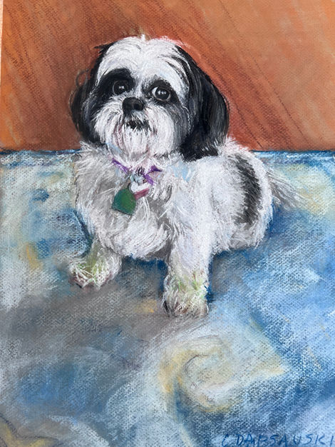 Image of a small dog drawn on paper with pastels