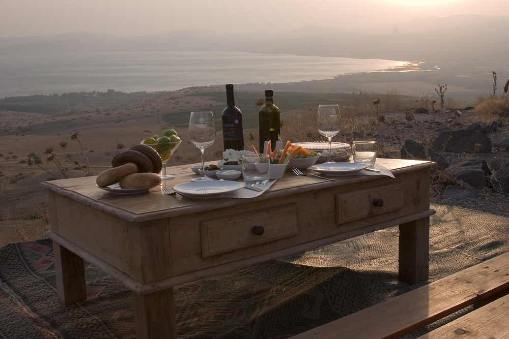 A Vineyard Picnic