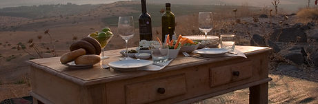 Picnic with a View