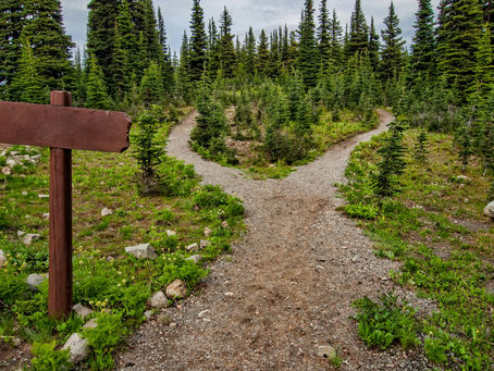forked path
