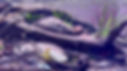 Frame-17-11-2024-01-45-25.jpg