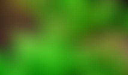 Indian Toothcup: Caring for Rotala indica