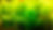 Green Foxtail (Myriophyllum pinnatum)