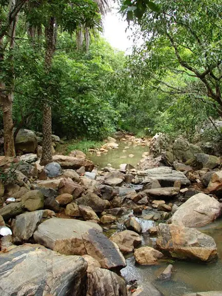 Rocky stream in the Nilwala basin