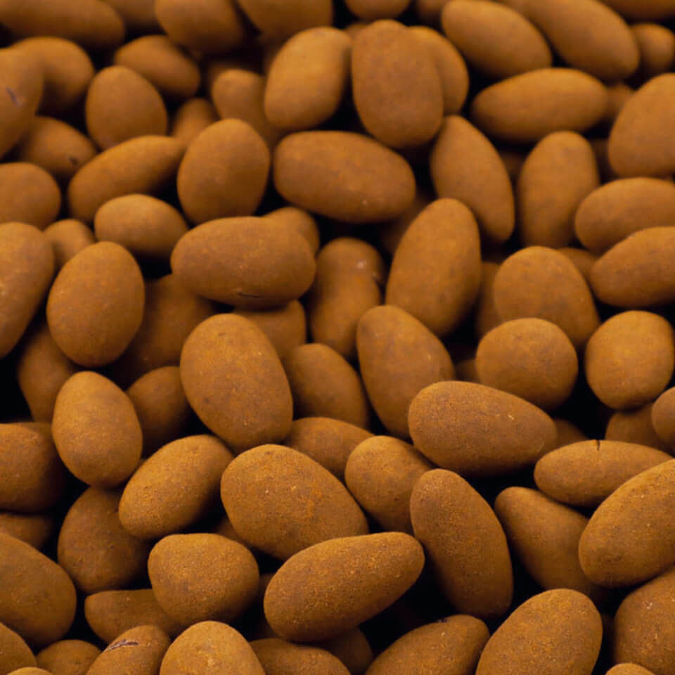 Melk Chocolade Kaneel Amandelen 300g - Orient Luxe Dragee