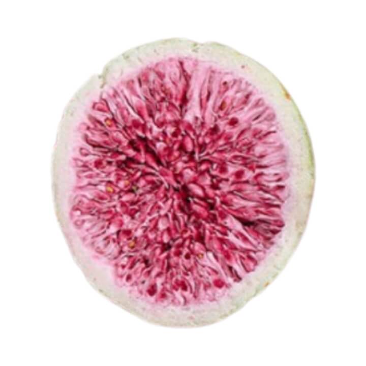 Freeze-dried Fruit Menu.jpg