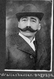 Walleshausen Sándor