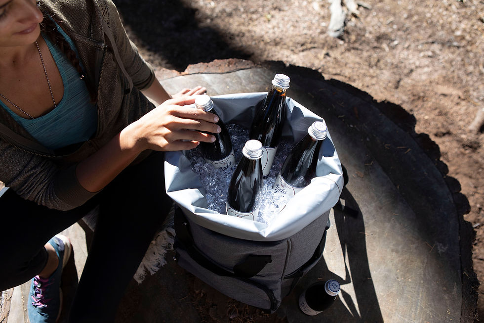 Thumbnail: Catalog No. 616-00 - On The Go Roll-Top Cooler Backpack