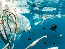 AB Kozmetik Şirketlerine Mikroplastik Kirliliğini Azaltmak İçin Ek Maliyetleri Karşılama Zorunluluğu Getirdi