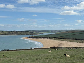 Sheep grazing in a field above a sandy beach and the Camel Estuary
