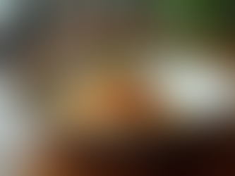 Why Nathan Outlaw's Port Isaac Restaurant Stands Out