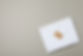 AdobeStock_302634555.jpeg