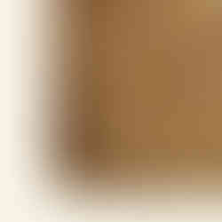 Close up of coconut coir sheet