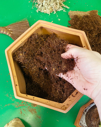 Coconut coir and soil mix in a terracotta pot