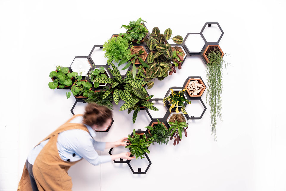 Horticus modular living wall large kit with terracotta planters and steel frames for indoor plants.