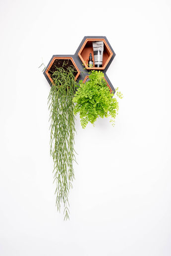 Horticus modular living wall small kit with terracotta wall planters and steel frame for plants in the bathroom.