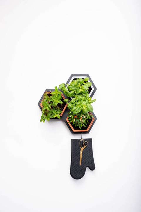 Horticus modular living wall small kit with terracotta wall planters and steel frame for an indoor kitchen garden.