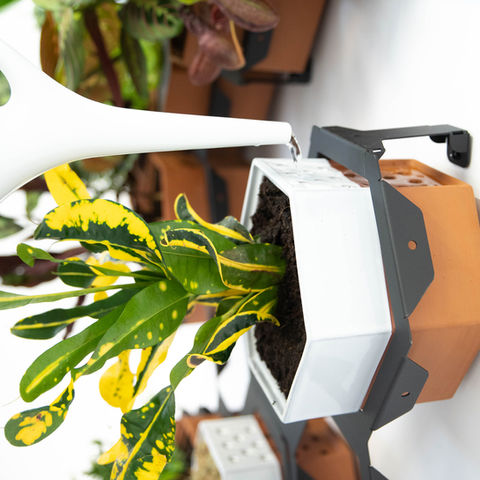 Horticus living wall kit terracotta wall planter being watered through a grid of holes.