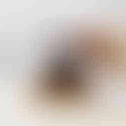 Coconut coir video demonstrating expansion of the compost.