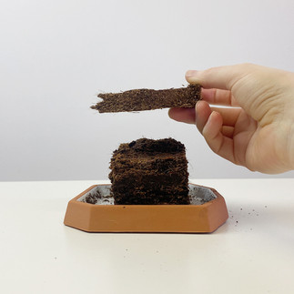 Coconut coir video demonstrating expansion of the compost.