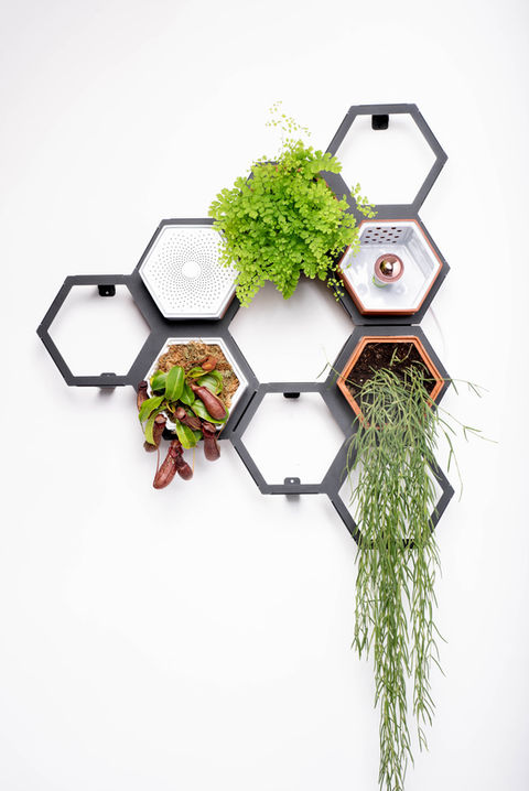 Horticus living wall modular medium kit with terracotta wall planters and steel frames for house plants.