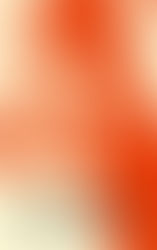 Annie Ernaux - De Jaren