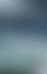 Scheepsberichten - Annie Proulx