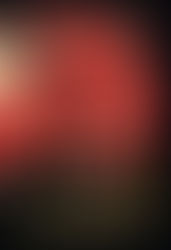 Fox 8 - George Saunders