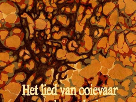 Het lied van ooievaar en dromedaris - Anjet Daanje