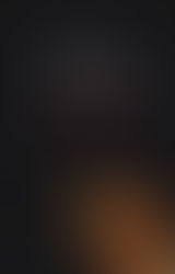 Het Hout - Jeroen Brouwers