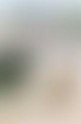 Disgrace - J.M. Coetzee