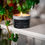 Thumbnail: Wild Irish Lavender Candle