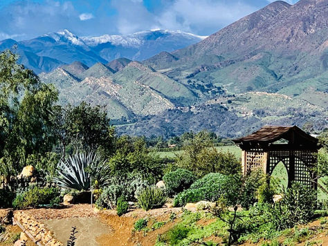 La Promessa di Rinnovamento