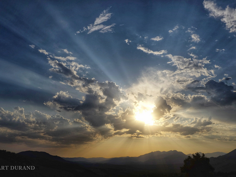 Sogni Collettivi Emergenti