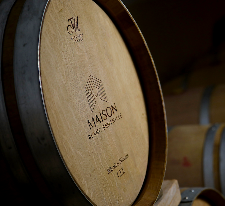 La vinification - Maison Blanc Senthille