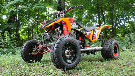 Elevate Your Program with Professional Motorsport Designs