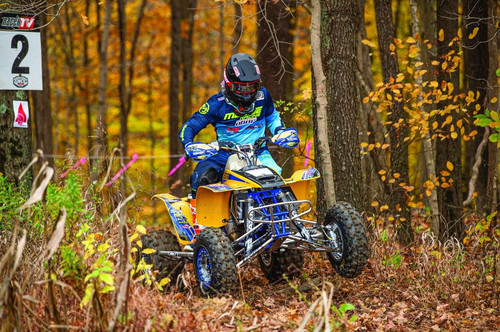 リトグラフ 1989 Kawasaki ZXR250 – Iconic Motorbike Auctions