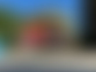 Maximize Your Business Impact with Eye-Catching Vehicle Wraps for the Ultimate Visibility