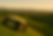 Front of Business Card(1).png
