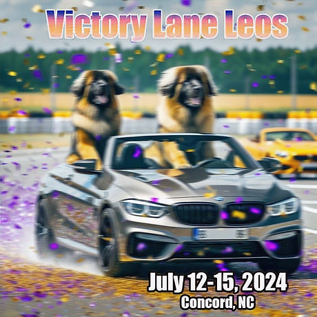VLL 2024_edited.jpg