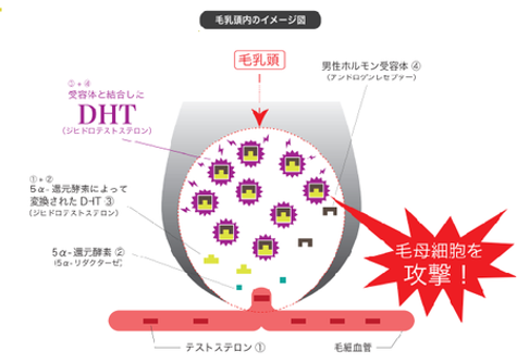 女性ドットヘア2.png