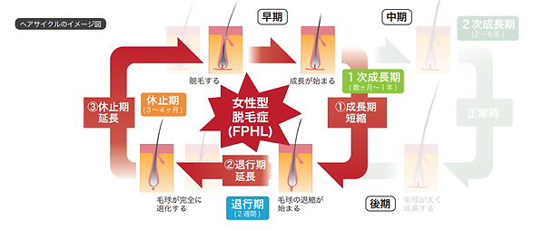 女性ドットヘア3.png