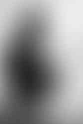 wedding photographer cardiff | the ultimate wedding guide | free pdf download