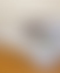 S邸　新築工事 小田原市