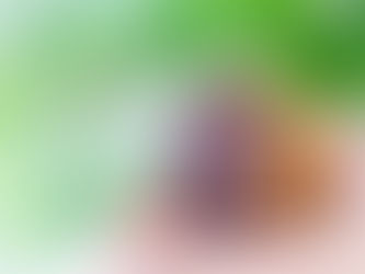 「家が欲しい!」と思った時、最初に知っておきたい事